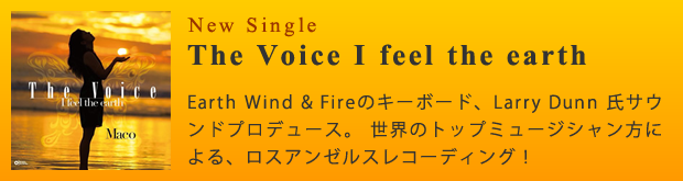 3rd Single�wThe Voice I feel the earth�x